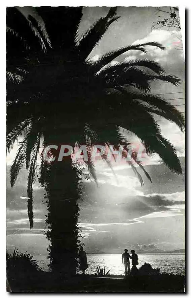 Crepúsculo — A Méditerrânea — Edições "MAR" - Frente