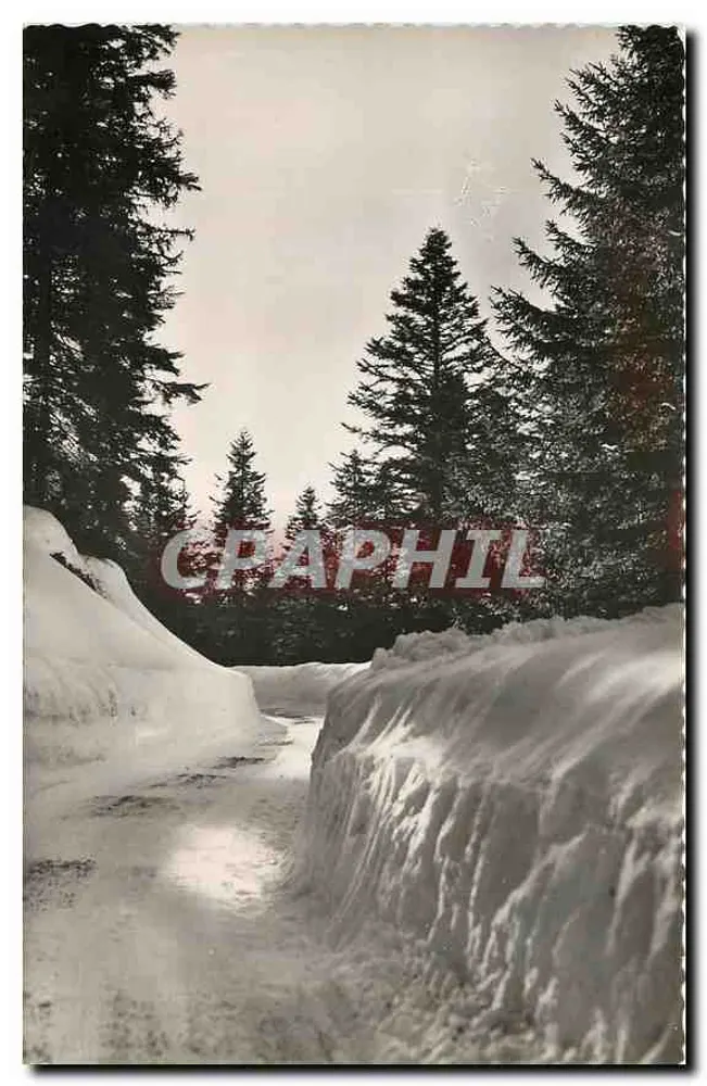 टुरिनी (ऊंचाई 1.610 मीटर) - शीतकालीन सड़क - एडिशन एस्टोइल डी आजूर - आगे