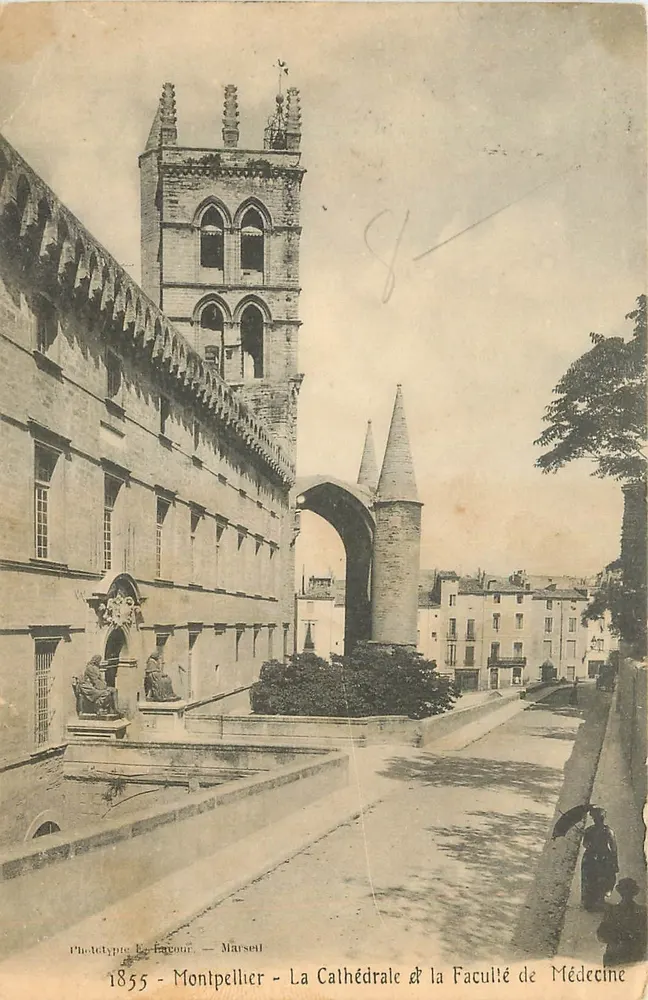 Montpellier - La Cathédrale & la Faculté de Médecine — Phototype Le Favour, Marseille - Recto