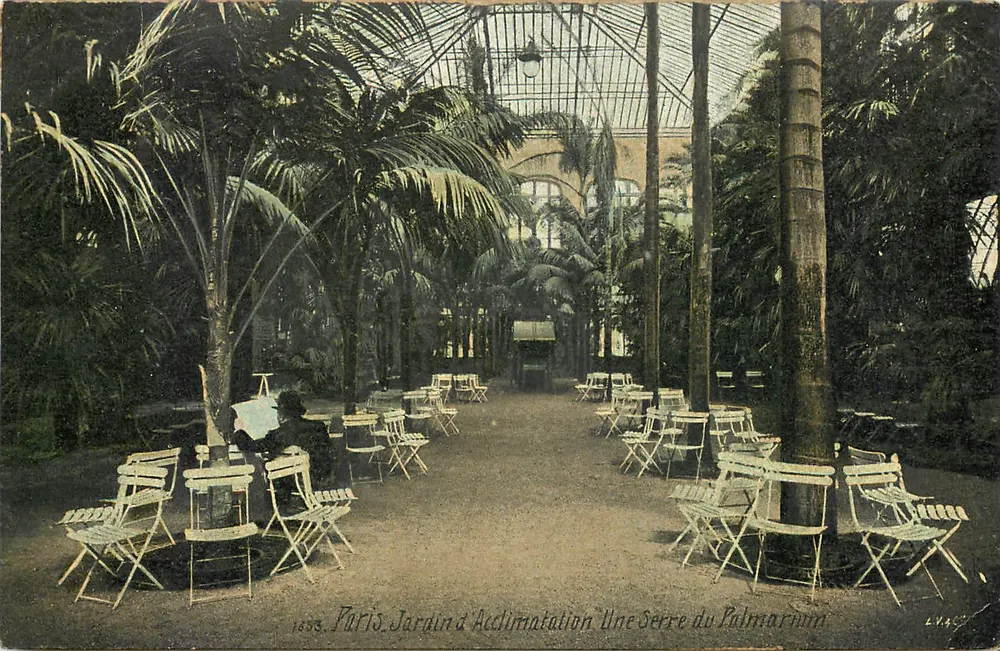 Paris Jardin d'Acclimatation — Une Serre du Palmarium — L.V. & Cie, n° 24457 - Recto