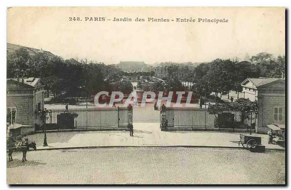 Paris - Jardin des Plantes - Entrée Principale — éditeur Graphtil, n° 248 - Recto