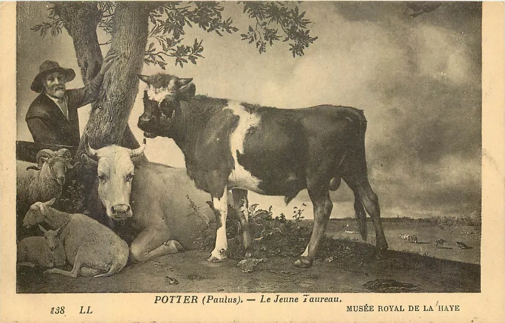 Potter (Paulus) — Der Junge Stier — Königliches Museum, Den Haag - Vorderseite