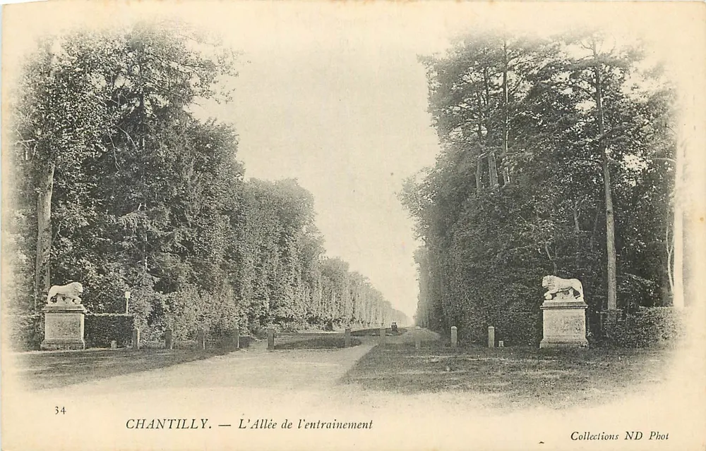 Chantilly — Aleja trenowa — kolekcja ND Phot - Awers