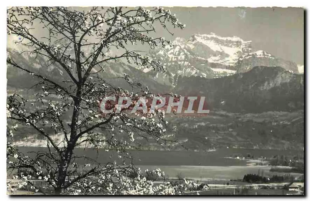 Ausblick auf den See Annecy und die schneebedeckten Berge — Editions G. Ross, Annecy, Nr. 373 - Vorderseite