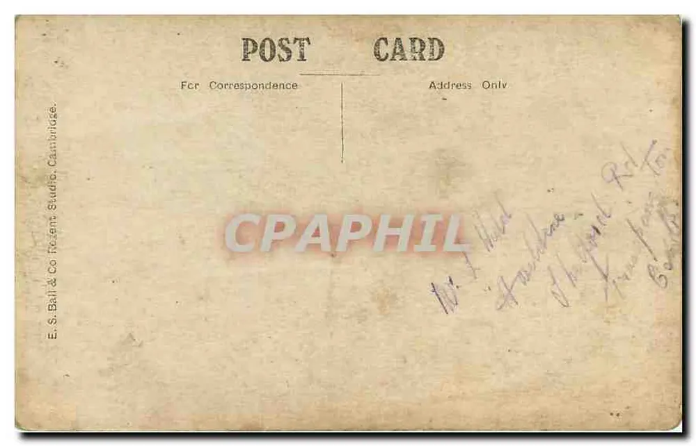 Retrato de um jovem — E. S. Ball & Co. Cambridge — número de série não visível - Verso