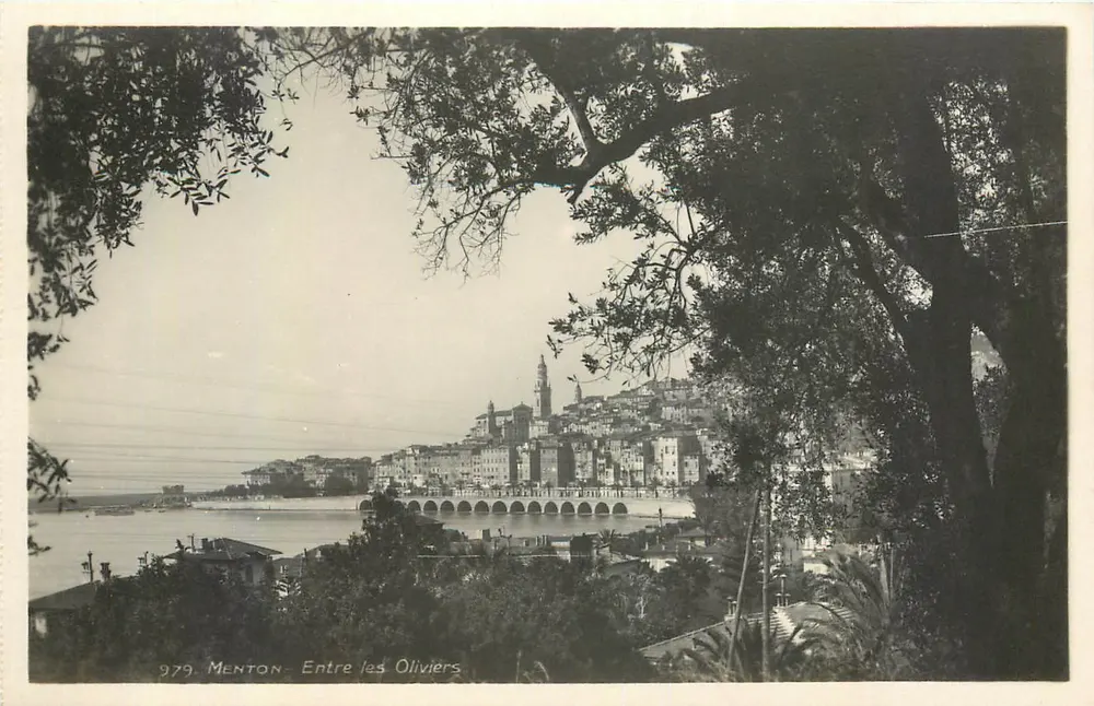 Menton - Entre os Oliveiras — vista panorâmica — F. Gilletta & Cie, n° 979 - Frente
