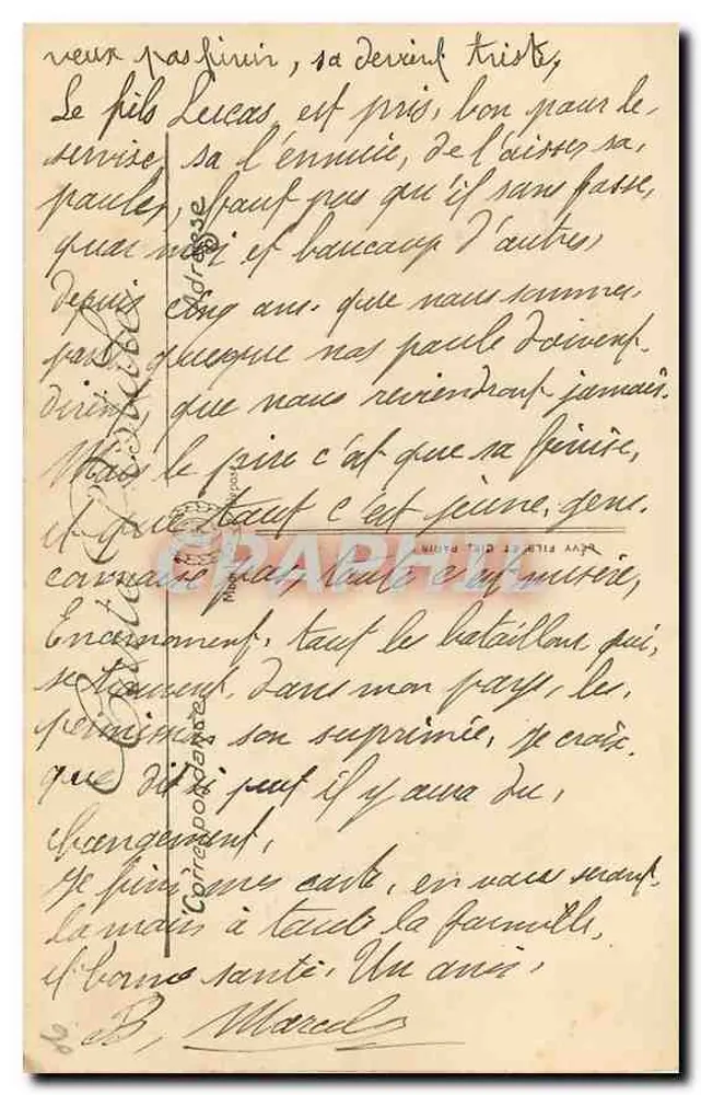 CANNES — Le Grand Hôtel — Eine Gruppe Palmen — LL - Rückseite