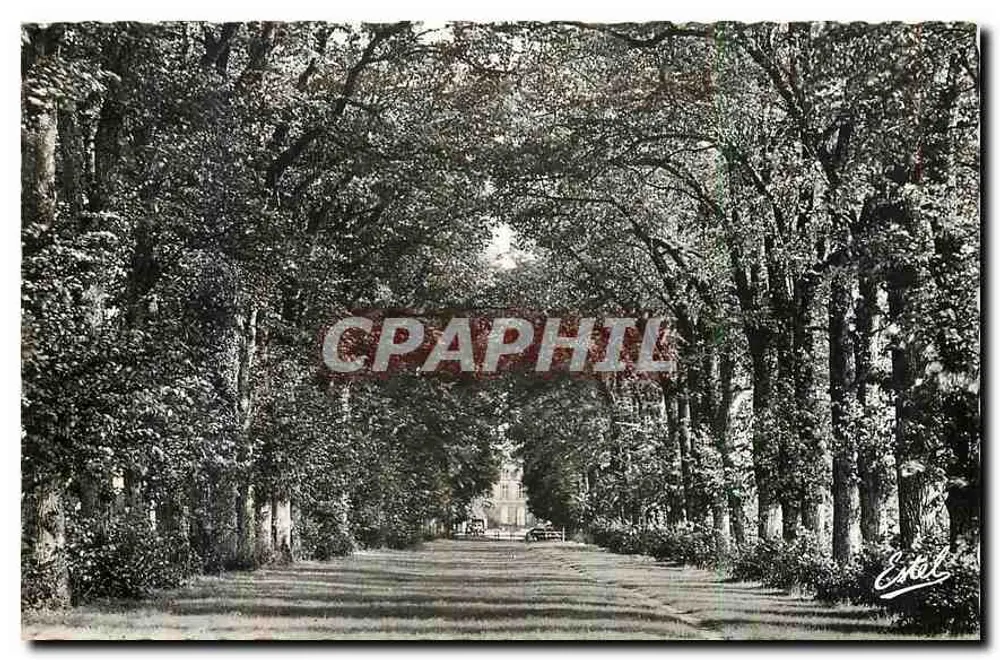 Le Boullay-Thierry — L' Avenue du Château — Editore Estel - Recto