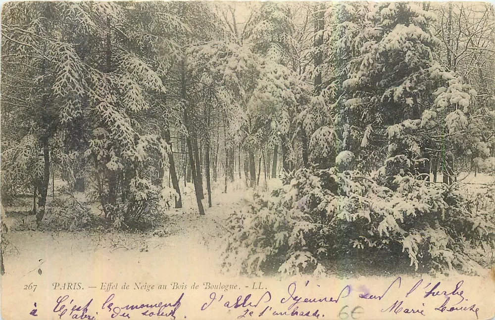 Paris — Effet de Neige au Bois de Boulogne — LL, n°267 - Recto