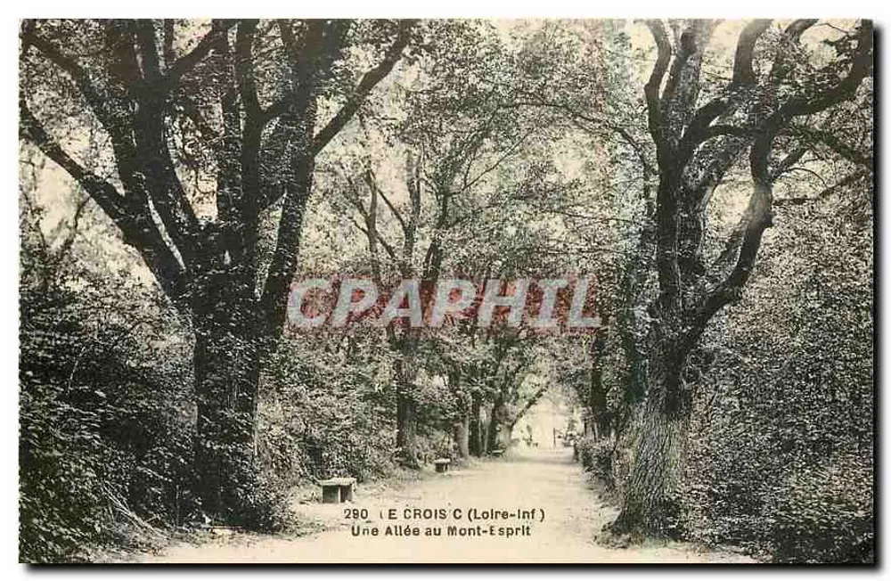 Le Croisic (Loire-Inférieure) — Eine Allee am Mont-Ésprit — F. Chepeau, Nantes, Nr. 290 - Vorderseite