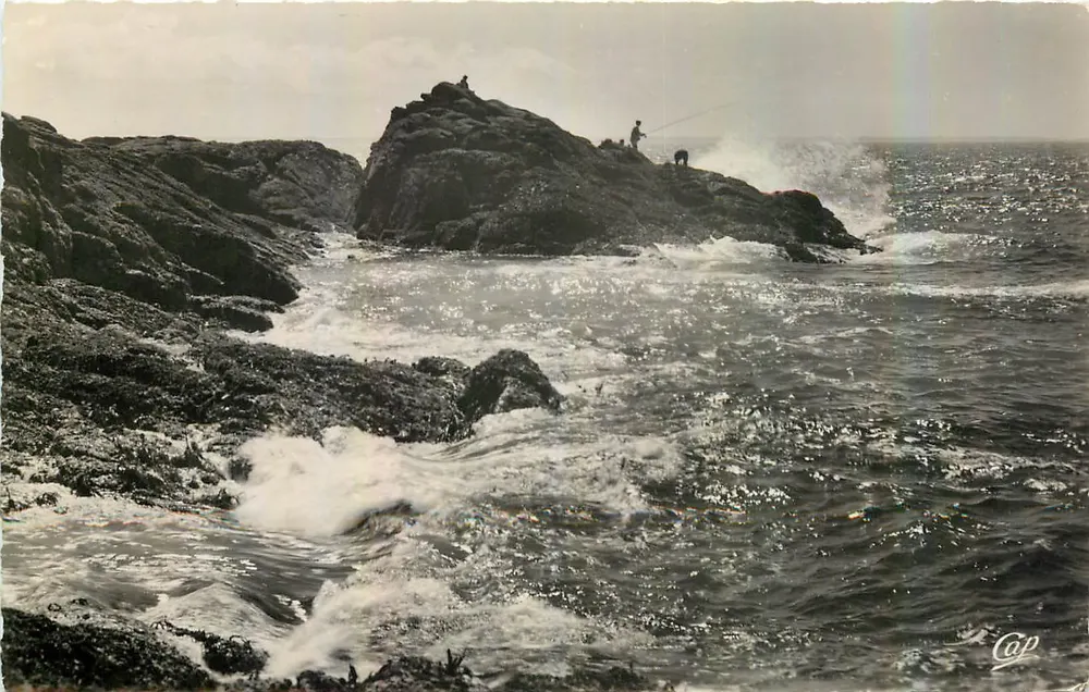 Cap de la Côte Sauvage — Quibron — wydawca Cap - Awers