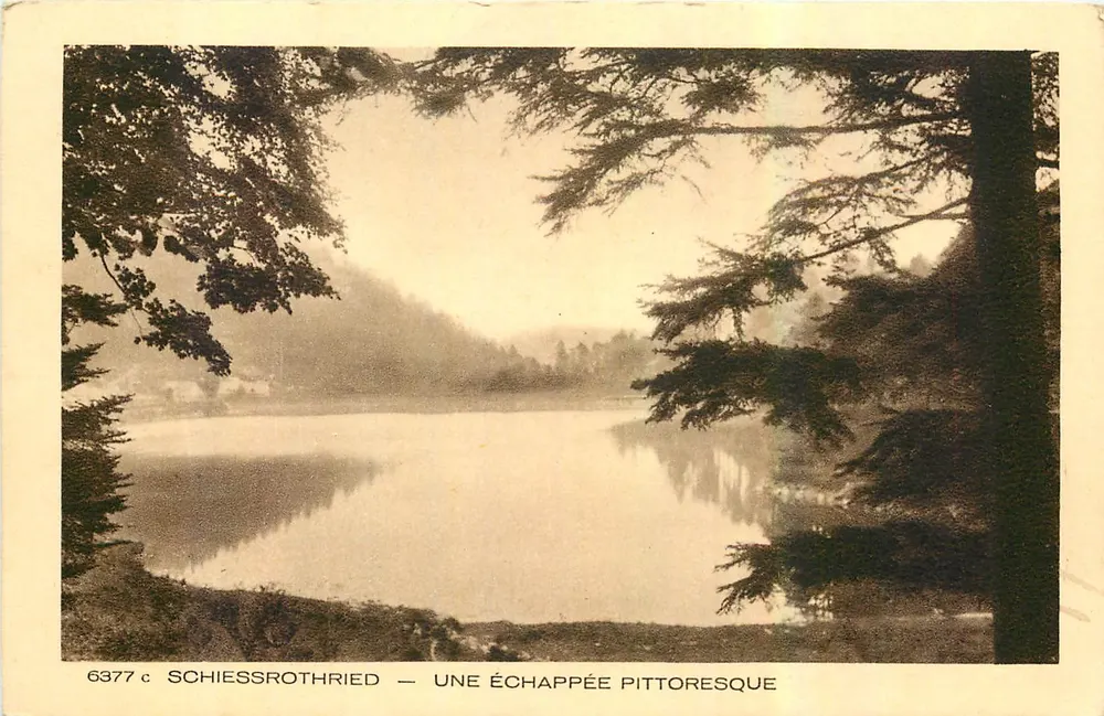 Schiessrothried — Uma vista pitoresca — BRAUN-ÉMILE, Editor, n° 6377 c - Frente