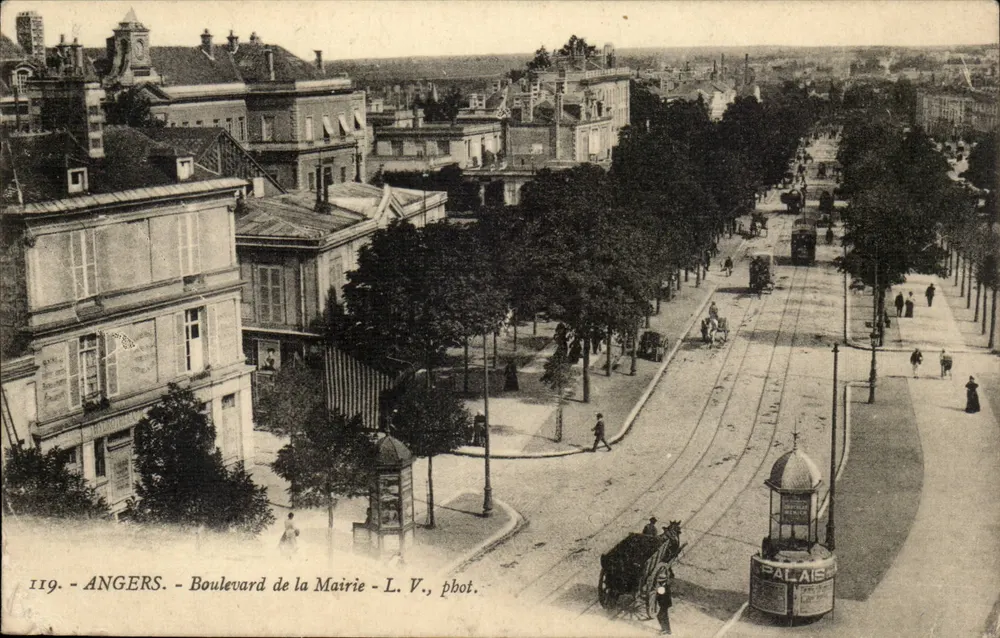 Angers - Boulevard de la Mairie — panoramische uitzicht met trams en bomen — L. V., pbot. - Voorkant