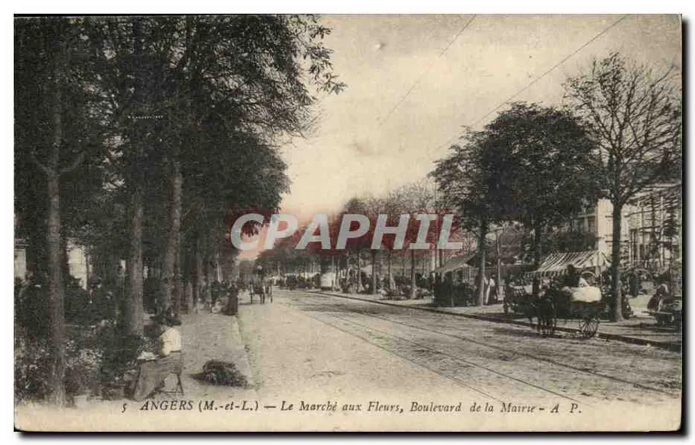 Angers (M.-et-L.) — Le Marché aux Fleurs, Boulevard de la Mairie — A. P. - Recto