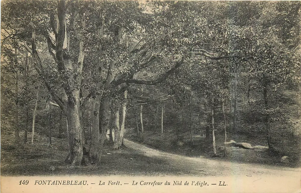 Fontainebleau — Die Wälder — Der Carrefour du Nid de l'Aigle — LL. — N° 149 - Vorderseite
