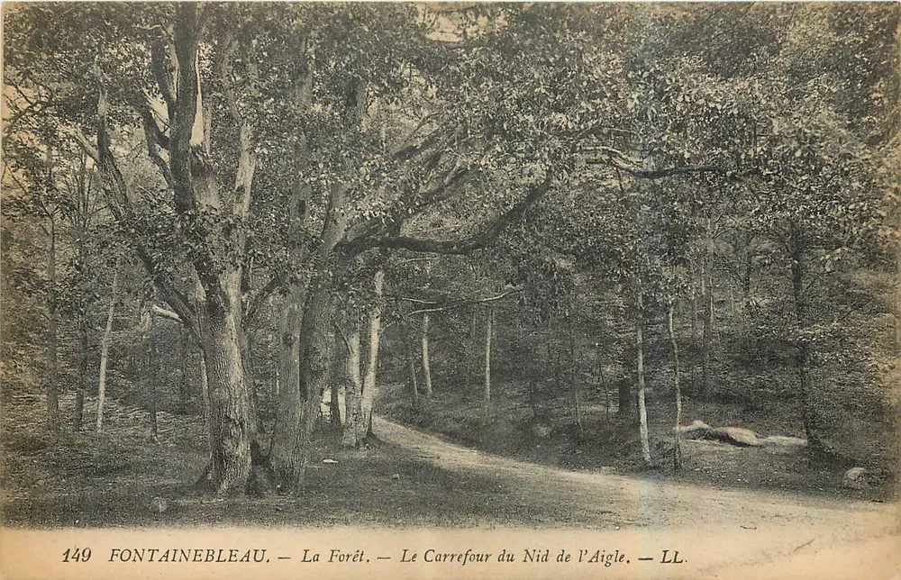 Fontainebleau — Die Forêt — Der Kreuzungspunkt des Aarhöhlen — LL, n°149 - Vorderseite
