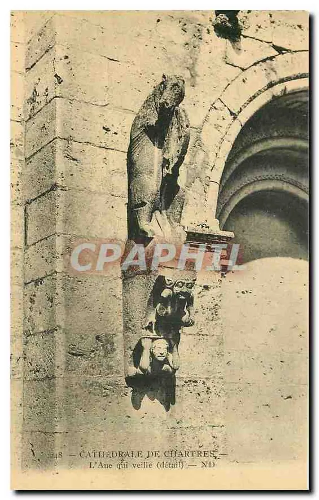 Catedral de Chartres — O Burro que vigia (detalhe) — ND - Frente
