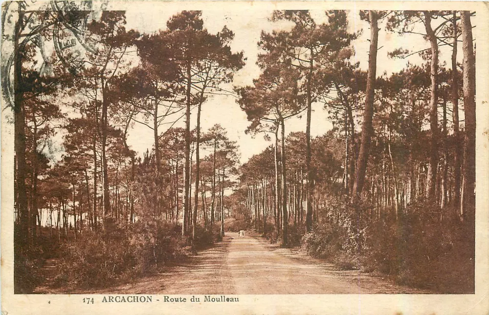 Arcachon - Estrada do Moulleau — edição Duguet Gambetta, n° 174 - Frente