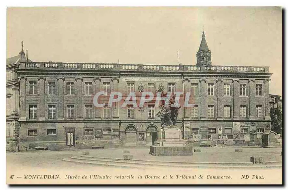 Montauban — Museum für Naturgeschichte, Börse und Handelsgericht — ND Phot. - Vorderseite