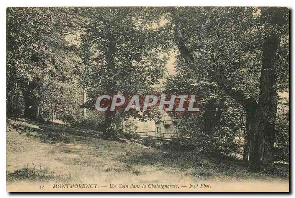 Montmorency — Un Coin dans la Chalaigneraie — ND Phot. - Recto