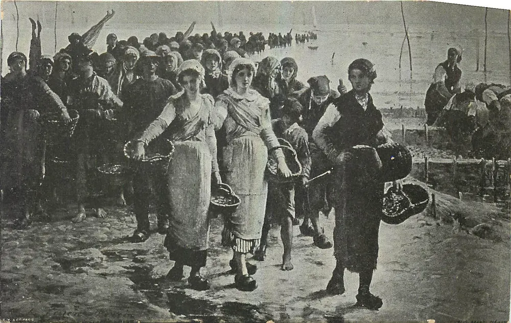 Mulheres e crianças recolhendo conchas — ilustração de L. K. & C. Perre — cerca de 1900 - Frente