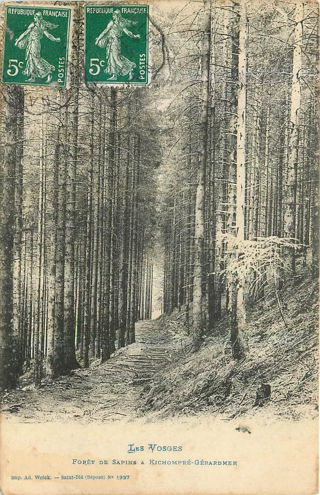 Floresta de Pinheiros em Kichompré-Gérardmer — Os Vosges — imp. Ad. Wotek, Saint-Dié (Depositado) N° 1927 - Frente