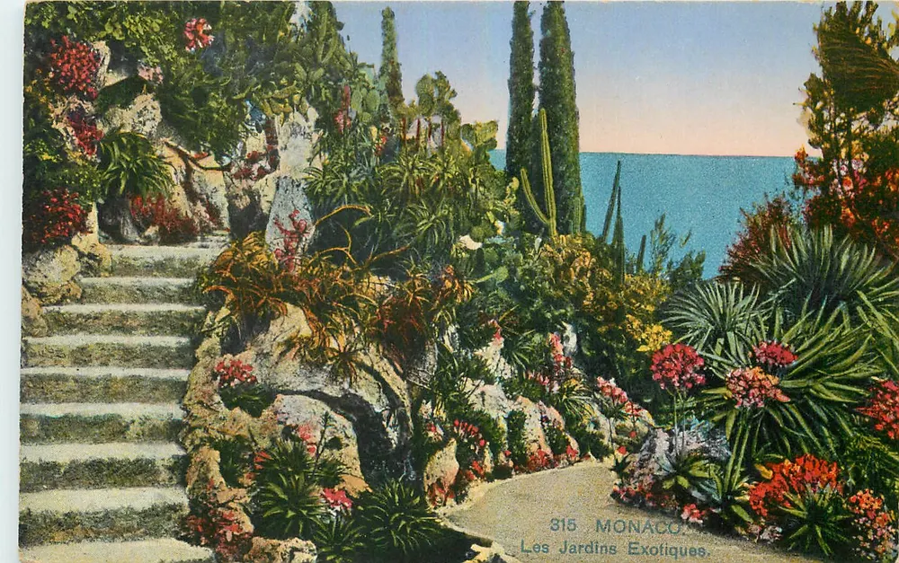 Exotic Gardens — Monaco — n° 815 - Front