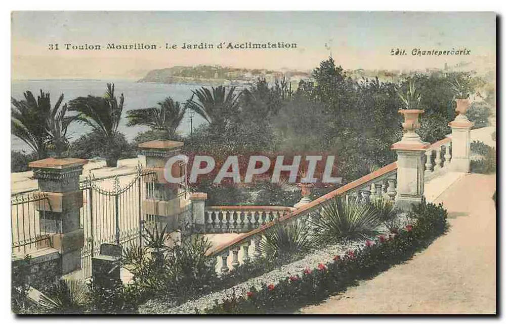 Toulon-Mourillon - Le Jardin d'Acclimatation — Édit. Chanteperdrix, n°31 - Recto