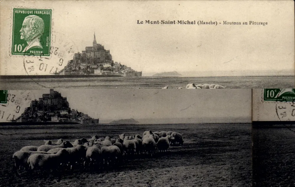 Le Mont-Saint-Michel (Manche) - Moutons au Pâturage — éditeur Pasteur, n° de série non visible - Recto