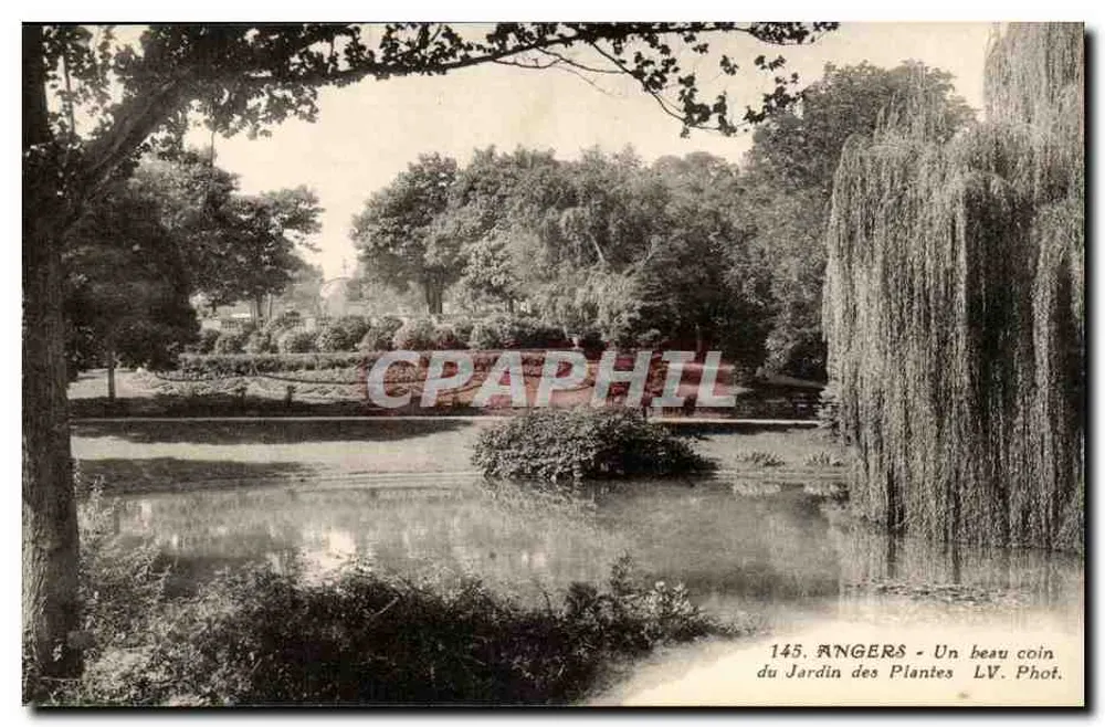 Angers — Ein schöner Bereich des Jardins des Plantes — LV. Phot. - Vorderseite