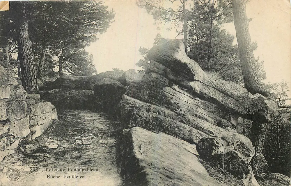 Floresta de Fontainebleau — Rocha Folheada — Editora impr. Chirat, n° 208 - Frente