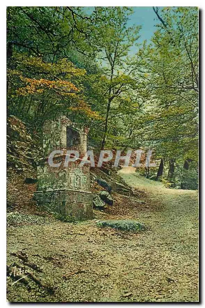 O Oratório de La Sainte-Baume — Monumento na floresta — Éditions Levy et Neurdein, Nice - Frente