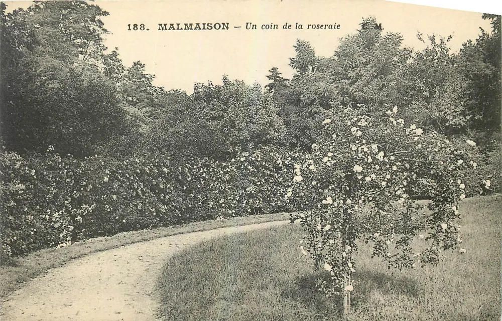 Malmaison — A Corner of the Rose Garden — E. M. (publisher) n°188 - Front