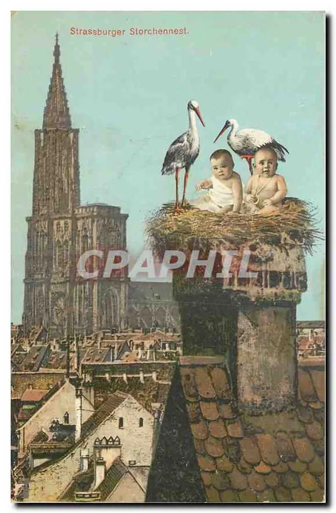 Ninho de Cegonhas de Strasbourg — Strasbourg — Kunstverlag E. Hartmann - Frente
