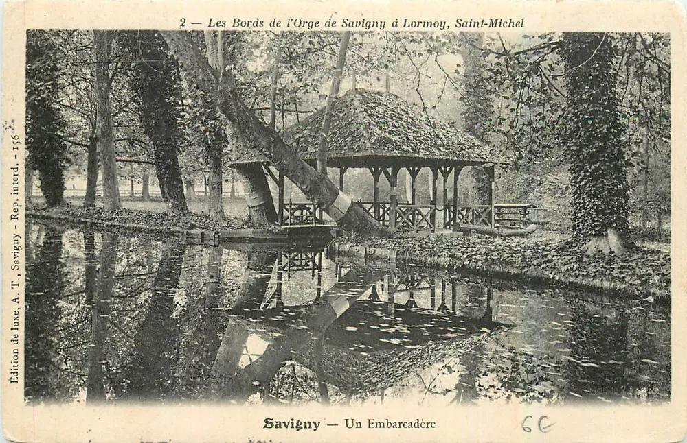 Savigny — Ein Steg — Luxus-Edition, A. T. Savigny, Rep. interd. - 156 - Vorderseite