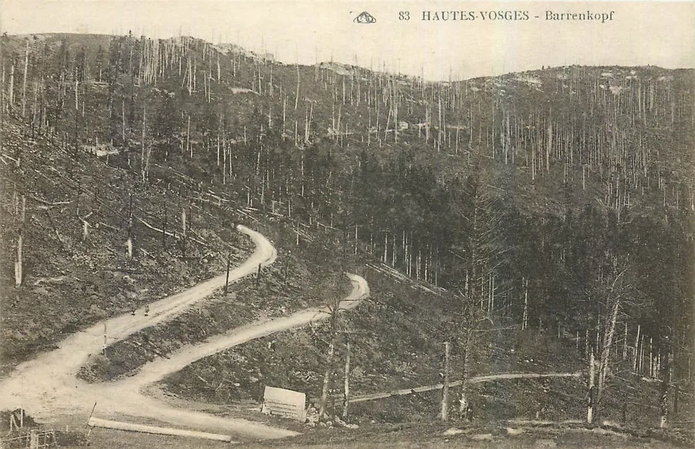 Hautes-Vosges - Barrenkopf — vista da estrada sinuosa em um paisagem florestal desmatada — editor: Cie Française des Arts Photographiques, Grenoble - Frente
