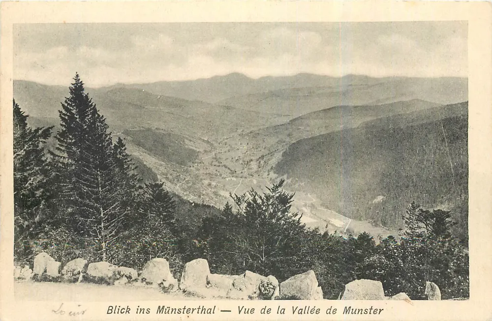 Vue de la Vallée de Munster — Zahleissen-Wieland, photographe, Münster - Frente