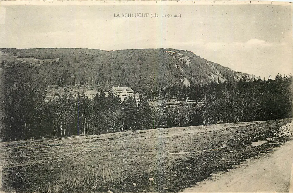 La Schlucht (alt. 1150 m.) — vue panoramique d'un sommet boisé avec un bâtiment à toit en pente — éditeur 'Cartes « La Cigogne », 37, Rue de la Course, Strasbourg' - Frente