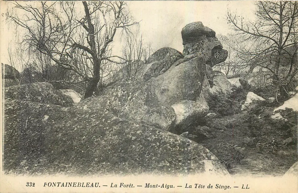 Fontainebleau — Die Forêt — Mont-Aigu — Der Affenkopf — LL - Vorderseite