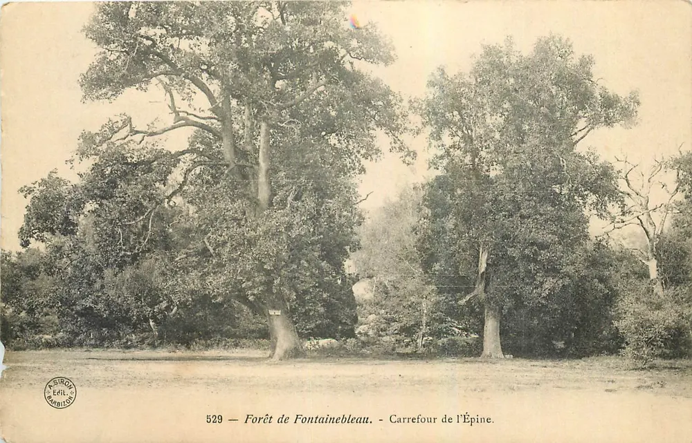 Floresta de Fontainebleau — Cruzeiro da Espinha — A. Siron, Editor, n° 529 - Frente