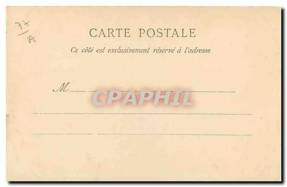 Floresta de pinheiros e rochedos — vista natural — Carta postal - Verso