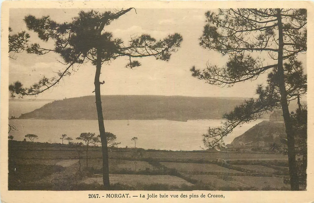 Die schöne Bucht von Morgat, gesehen von den Pinien von Crozon — Morgat — Nr. 2047 - Vorderseite