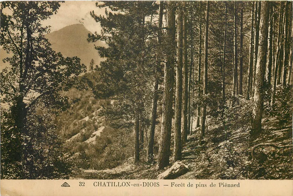 Chatillon-en-Diois — Pine Forest of Piénard — Publisher ARB, No. 32 - Front