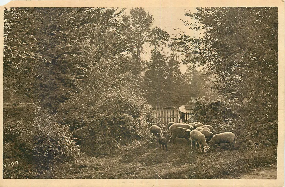 Landschaftsbild — In Saintonge, Region St-Fort — Kunstausgabe YVON, Neufilly-Paré - Vorderseite