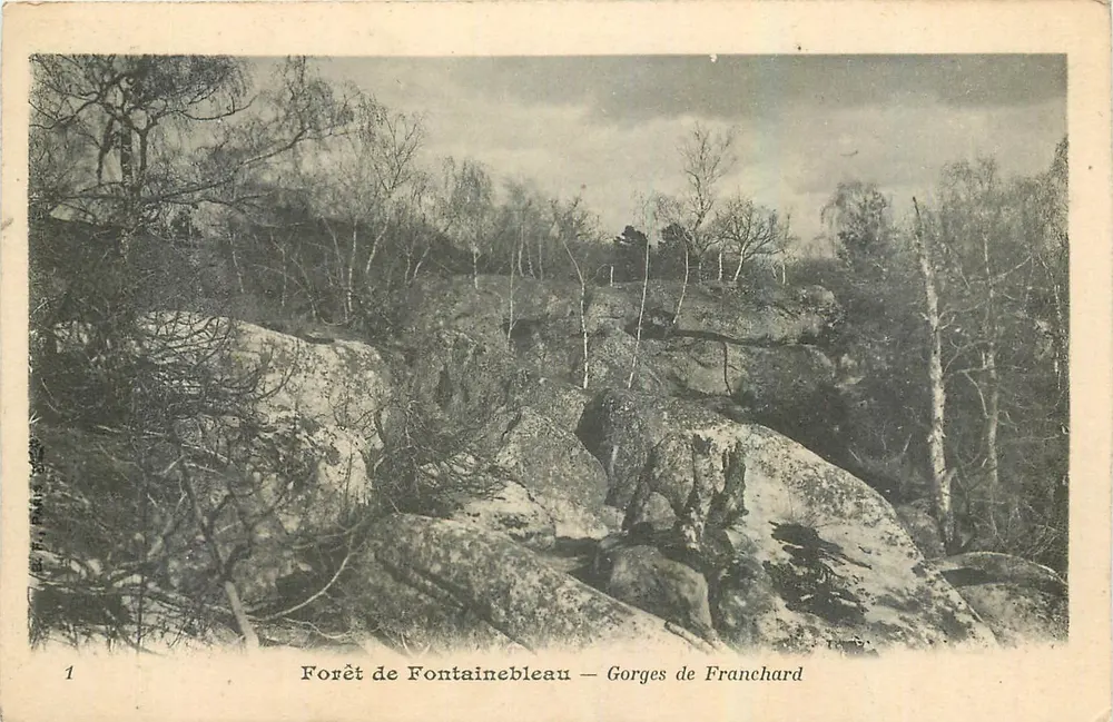 Forêt de Fontainebleau — Gorges de Franchard — Éditeur : T. P. (n°1) - Recto