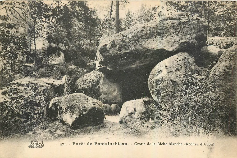 Forêt de Fontainebleau — Grotte de la Biche Blanche (Rocher d'Avon) — unbekannter Verlag, n° 371 - Vorderseite