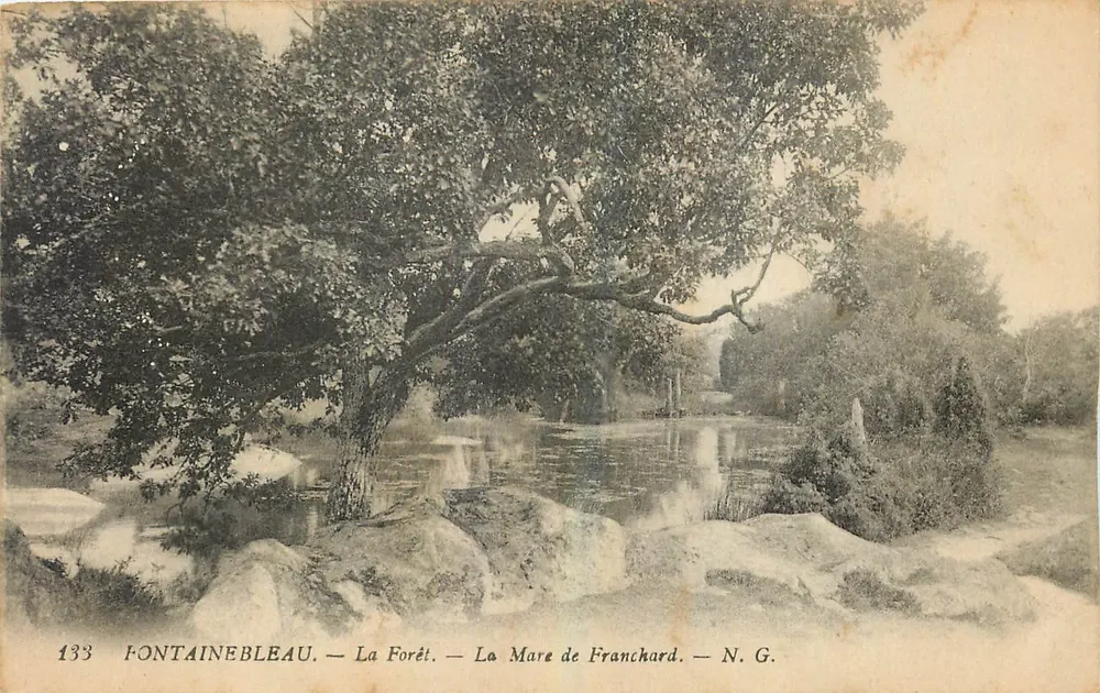 Fontainebleau — La Forêt — La Mare de Franchard — N.G. — n°133 - Recto
