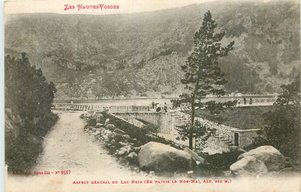 Lago Negro — Saint-Dié — Ad. Weick, N° 9187 - Frente