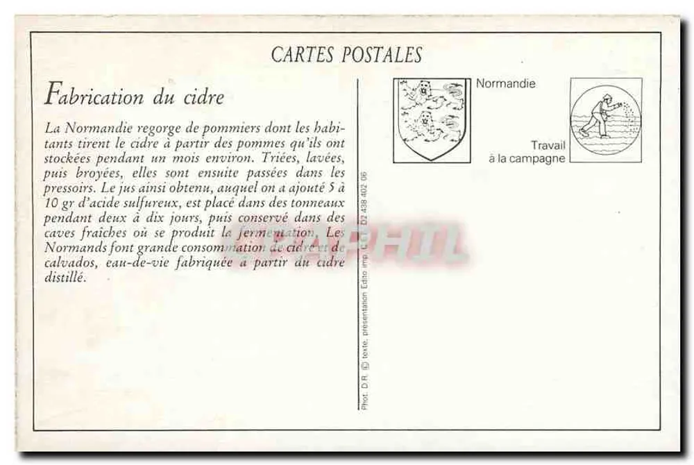सीड्र बनाना — नॉर्मंडी — एडिशन डी.आर. प्रेजेंटेशन - पीछे