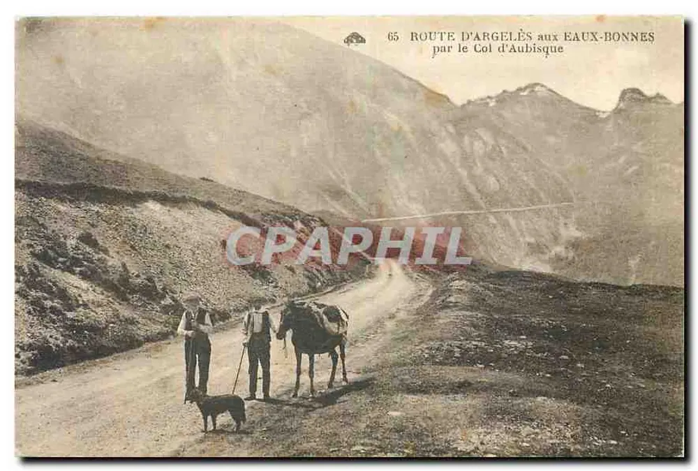 Route from Argelès to Eaux-Bonnes via Col d'Aubisque — Vintage Postcard/Antique Ansichtskarte n°65 - Front